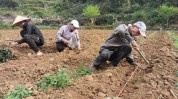 靖西自强劳务内生群众动力(靖西劳务农村劳动力自强劳动力)