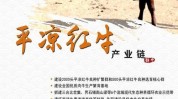 平凉甘肃路子产业(平凉红牛产业甘肃产业链)