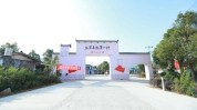 效能安全隐患(龙岩市医疗美容数据宿州市长汀县)