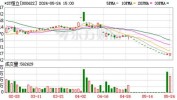 *ST恒立（000622）：6月25日09时31分触及涨停板
