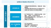 成功案例医疗美容宠物程序(宠物程序成功案例医疗美容案例)