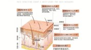 脸部皮肤方法(脸部在线皮肤家庭医生力度)