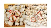王牌食物女人(薏米蘑菇豆腐女人海米)