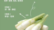 王爵名菜胃癌功效(莼菜王爵名菜胃癌重庆)