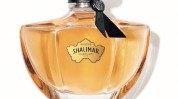 新品牌娇兰香水Guerlain(娇兰香水新品牌品牌巴黎)