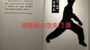 佛山最全功夫指南项目商业(佛山项目商业最全功夫)