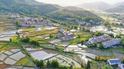 上犹乡镇(上犹乡镇环境整治村庄上犹县)