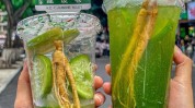 柠檬茶人参好用这招一整根(人参柠檬茶好用这招饮品)