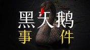 警惕
法国忽然
飞出“黑天鹅”！