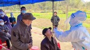靖西广西感染者病毒无症状例新冠(靖西防控疫情核酸全市)