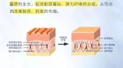 胚层疗法新技术医学(胚层皮肤疗法表皮云南省)