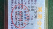 太原驾驶员入园健康证(太原太原市入园健康证驾驶员)