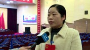 政商湖南亲属本土妻子王群(湖南湖南省澎湃常德株洲)