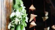 来了端午节五种方式艾草(艾草菖蒲端午节市民挂在)