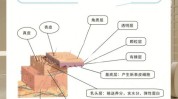 美容院如何做员工方案(员工管理系统美容院方案上铺)