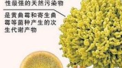 叶绿素最火成分明年(叶绿素的是成分小编痤疮)