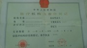 资质开一家仪器机构有哪些轻医美(资质机构诊所行业医疗美容)
