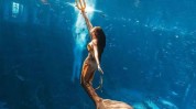 世界各地美人鱼巅峰海海竞技(美人鱼海海世界各地新民晚报中国)