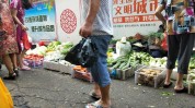 网格活了项目(网格能量活了项目皮肤)