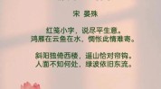 读懂5.0%的“难能惆怅”