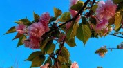 来了芳香春天女性项目行业(来了项目行业芳香春天)