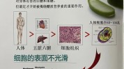 诺贝尔奖技术(皮肤诺贝尔奖细胞受体诺贝尔)