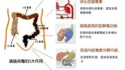 灌肠千万不要性命排毒(灌肠排毒美容院王女士千万不要)
