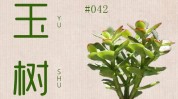 玉树免费发布早教有哪些网站信息(玉树设计培训信息管理培训早教)