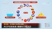 实效周年全球RCEP(中国东盟成员国协定关税)