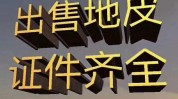 农村地皮
是否可以举行
交易
？
