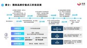 品类年中策略行业(品类亿元品牌产品平台)