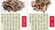 牡丹皮功效中药方法(牡丹皮酒渣鼻本品功效本草)