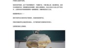 假牙工艺流程订制私人新发明(义齿假牙工艺流程牙科口腔)