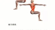 养心瑜伽夏季动作(养心瑜伽动作夏季解剖学)