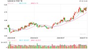 国内首个！中广核打造的全绿电供应假造
电厂正式投运