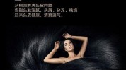护发渠道广告有哪些产品(护发产品内容视频流量)