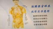 说了全息你听火遍全网(全息说了你听瘦身经络)