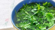 粉刺雀斑中药(雀斑粉刺本品皮肤益母草)