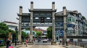 金山(行道树金山城建枫泾新闻)