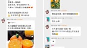 水果店赠品社群模式实战篇(产品水果店模式社群维度)