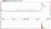 上海雅仕（603329）：7月15日14时22分触及涨停板