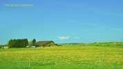 田园至美同行无界美丽其美(田园美丽同行法国至美)