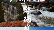 从化你来假期系列(从化你来假期系列广州市)