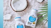 椰子椰肉蛋白质加工工艺营养椰汁(椰子椰肉蔗糖蛋白质原料)