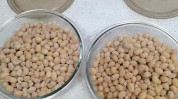 味蕾舌尖商机哈洽会(北海道哈尔滨北大荒纳豆厨房)