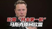 欧盟正在对准
马斯克？据称X公司已成下一个被盯上的目标