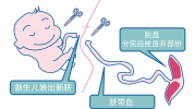 干细胞大法驻颜有术(干细胞皮肤脐带细胞大法)