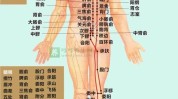 过了经脉周身全身(穴位部位脊柱小腿经脉)