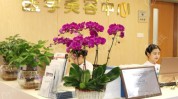 东莞医疗机构(东莞门诊部东莞市医院医疗美容)