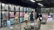 在此好名字宠物店不谢(宠物宠物店店名红枣双关)